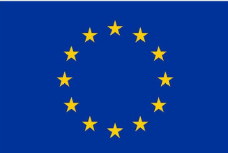 European Union Flag